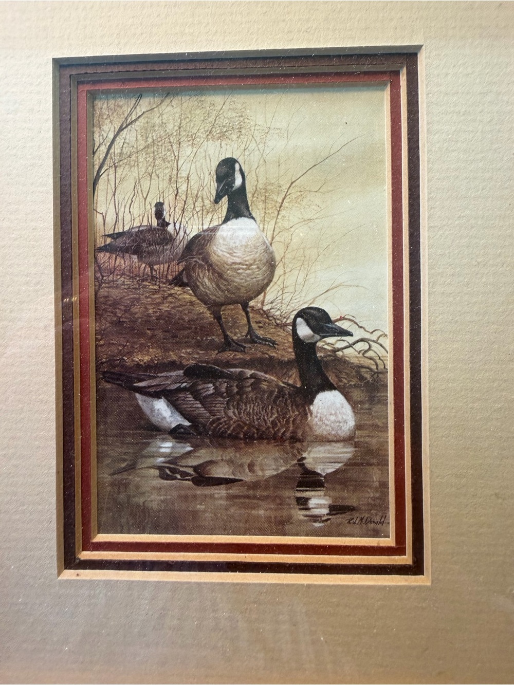 R. J. Ralph McDonald Art Print - Geese at Gaddy's Pond- 3.5” x 5” Framed 3 Matt